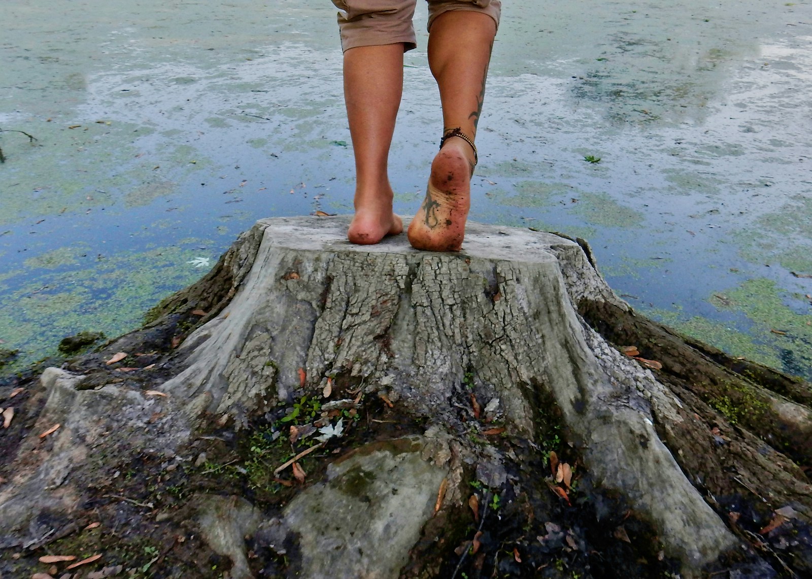A person standing on top of a tree stump