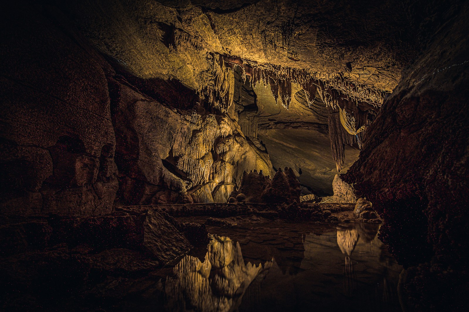 brown and black cave painting